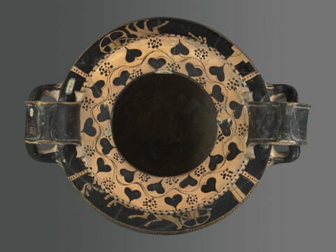 nestoris, image 2/7