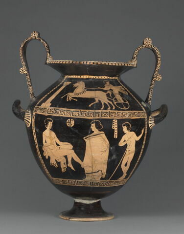 nestoris, image 5/7