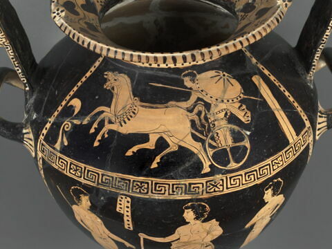 nestoris, image 7/7