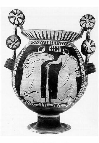 nestoris, image 2/2
