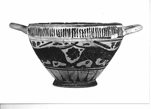 cotyle, image 2/2