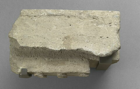 larmier, image 2/6