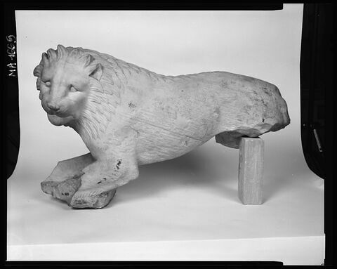 Statue de lion du Sérapéum de Memphis, image 2/2