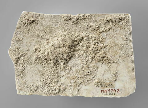 inscription, image 2/2