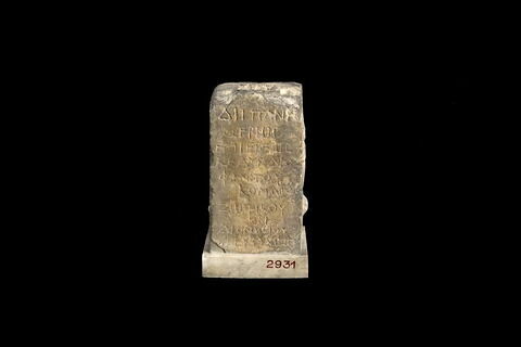 arula, image 2/6