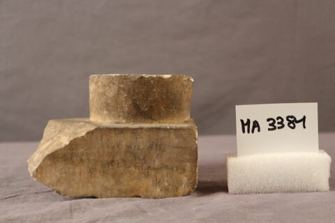 larmier, image 2/2