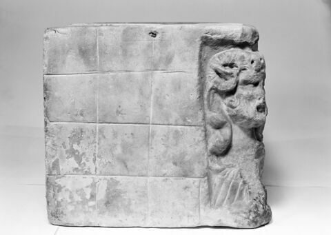 urne, image 3/3