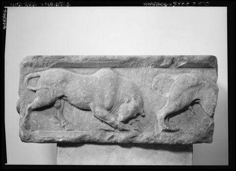 relief ; bloc de frise, image 6/6