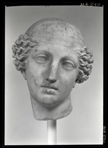 tête Maciet, image 2/4