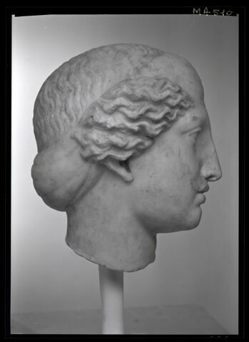 tête Maciet, image 4/4