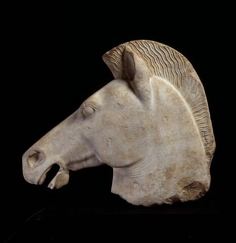 Tête de cheval