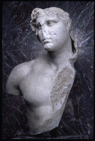 Portrait d'Alexandre dit 