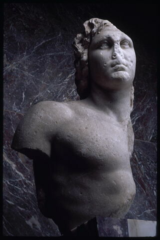 Portrait d'Alexandre dit 