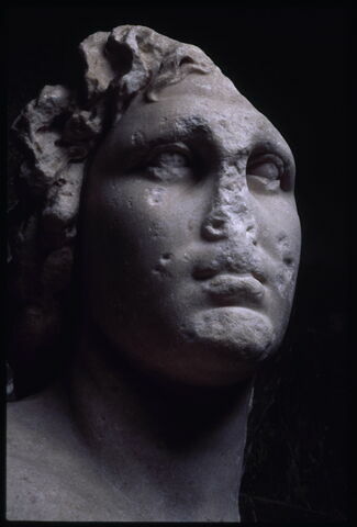 Portrait d'Alexandre dit 