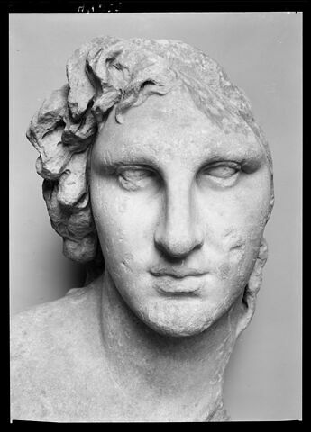 Portrait d'Alexandre dit 