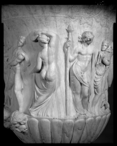 Cratère Borghèse, image 10/29
