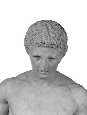 Discophore, image 5/10