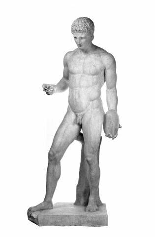 Discophore, image 7/10
