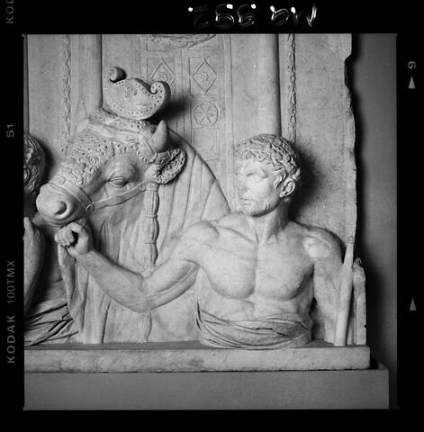 relief architectural, image 11/20