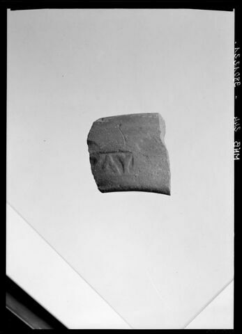 anse d'amphore commerciale, image 4/4