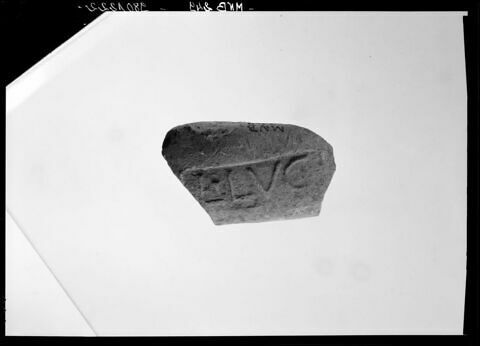 anse d'amphore commerciale, image 3/4