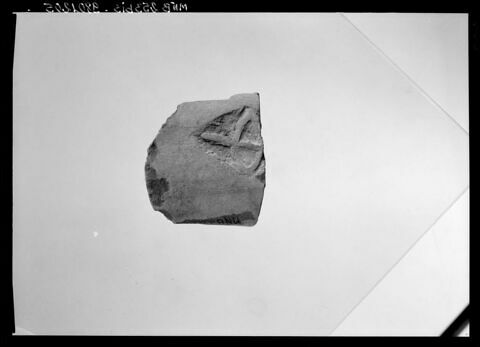 anse d'amphore commerciale, image 3/4