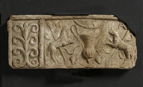 plaque Campana ; chéneau = sima