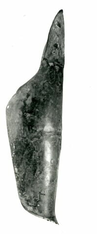 cnémide, image 3/3