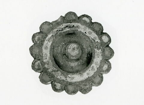 fibule