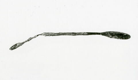 spathomela = sonde-spatule, image 2/2