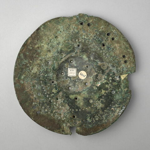 disque-cuirasse, image 2/2