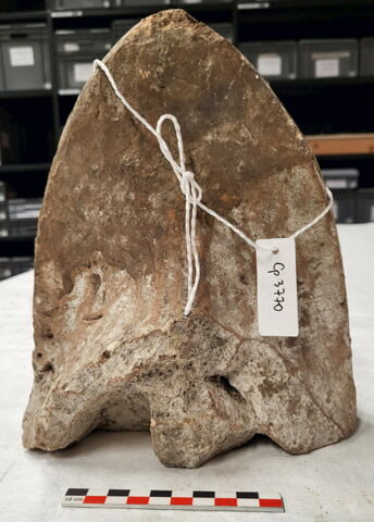 antéfixe, image 2/2