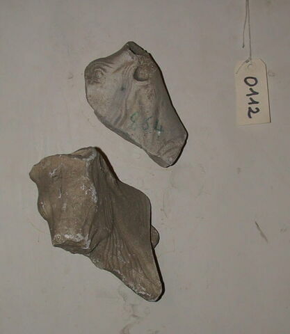 Fragment de tirage d’une métope avec deux têtes de bœufs