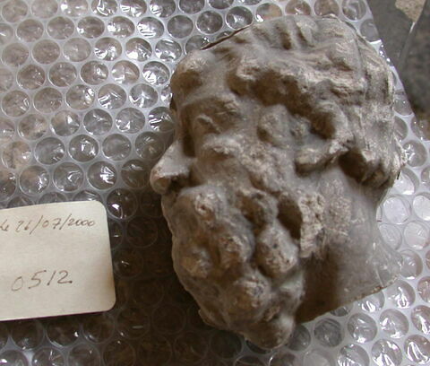Tirage d’un fragment de relief représentant une tête barbue