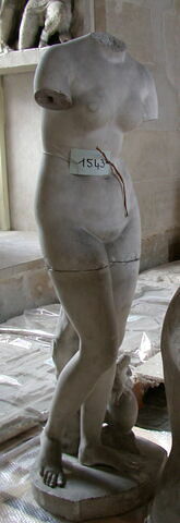 Vénus Médicis, image 7/7