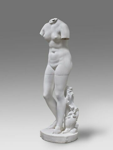 Vénus Médicis, image 6/7
