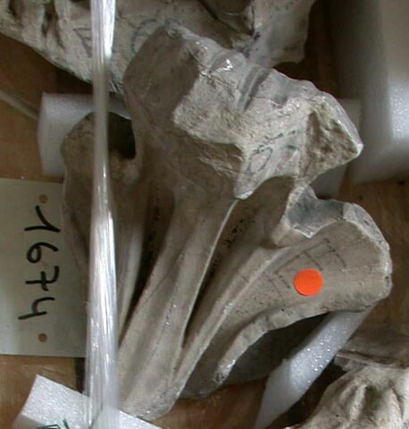 Tirage intégral d’une feuille d'acanthe de la couronne inférieure du chapiteau, caulicole, image 1/1