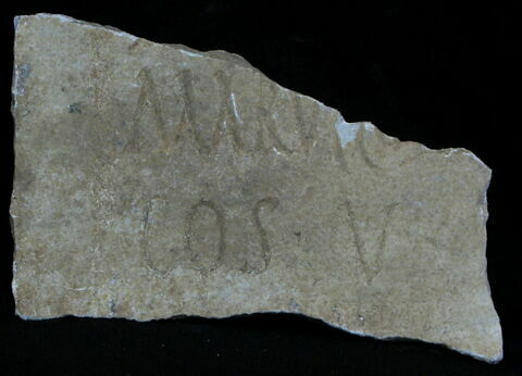 Stèle votive à Saturne (fragment), image 1/3