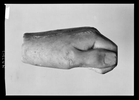 Main de kouros, image 4/6