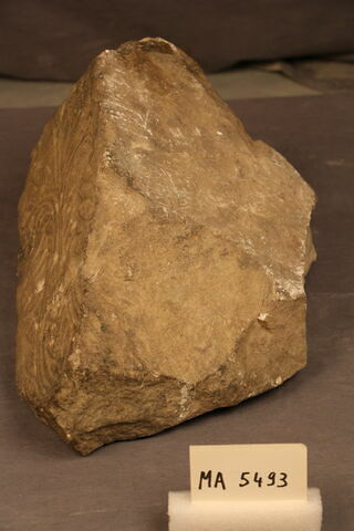 support, image 4/4
