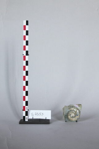 vase, image 3/11