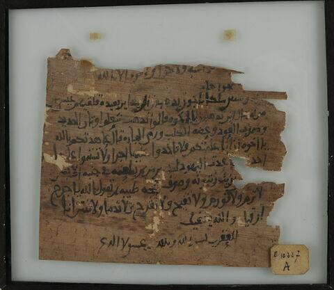 Papyrus magique, image 1/1