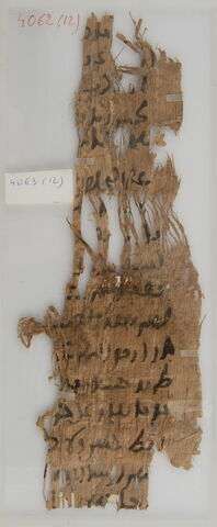 Papyrus, image 1/1