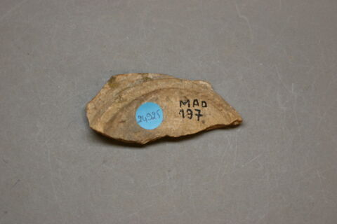 Fragment de fond de bol, image 2/2