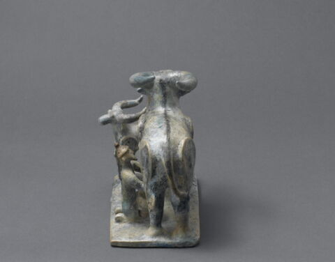 Homme trayant une bufflesse, image 8/11
