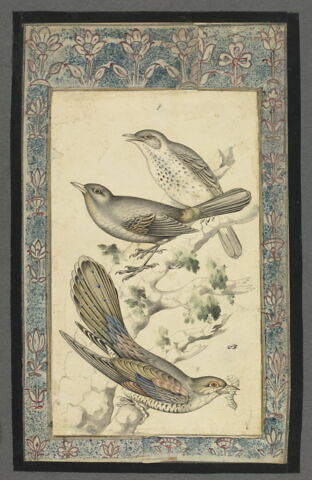 Oiseaux sur une branche, image 2/4
