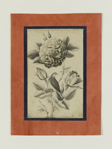 Rose et rossignol, image 4/7