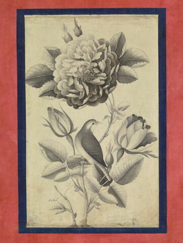 Rose et rossignol, image 2/7