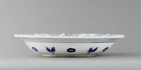 Plat aux raisins, image 2/4