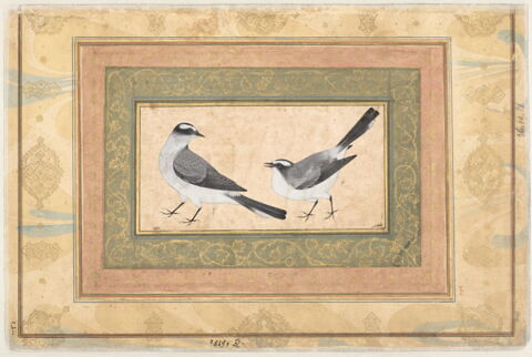 Deux mésanges (page d'album), image 6/7